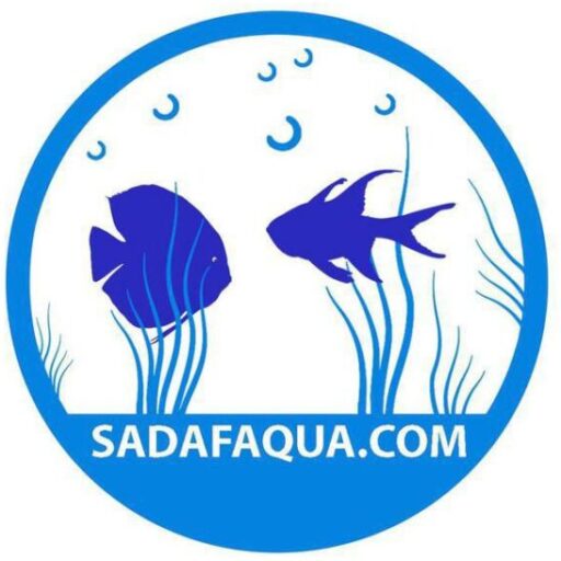 فروشگاه اینترنتی صدف آکوآ
