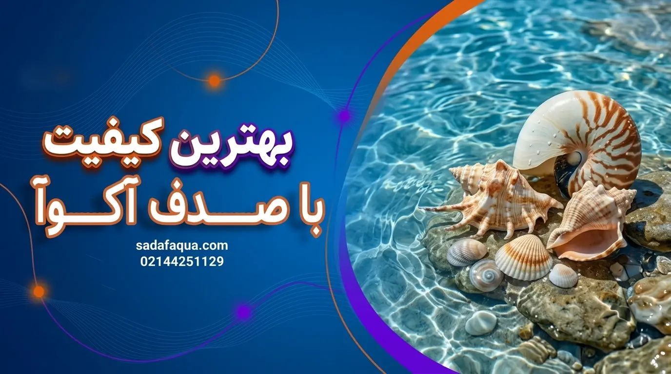 بهترین کیفیت با صدف آکوآ