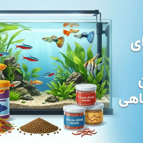 راهنمای خرید بهترین غذای ماهی