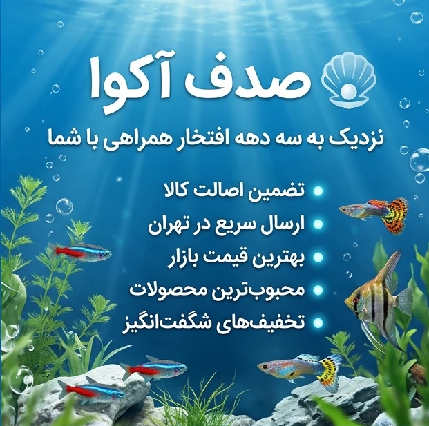 article-slider