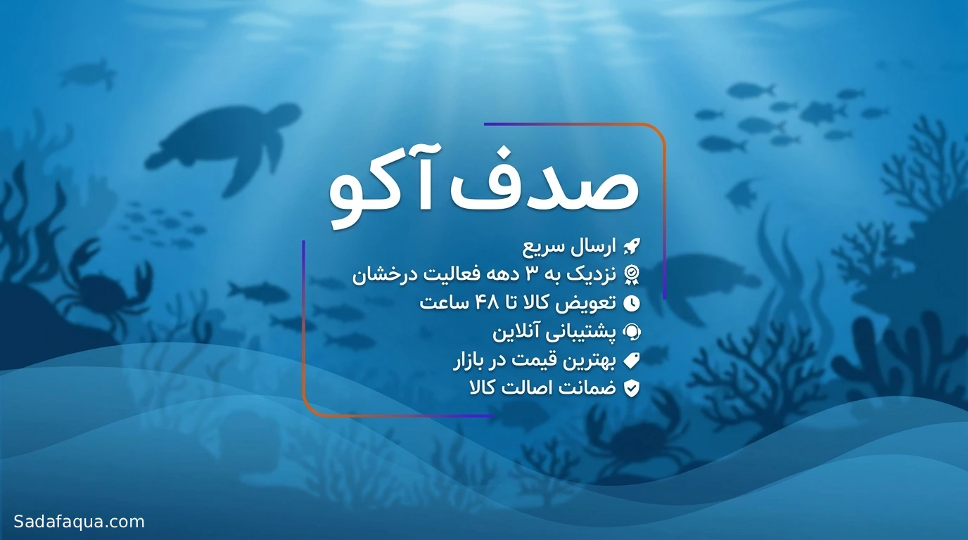 چرا انتخاب صدف آکوآ